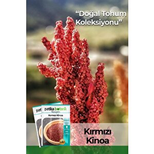 100 Adet Kırmızı Kinoa Tohumu