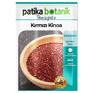 100 Adet Kırmızı Kinoa Tohumu