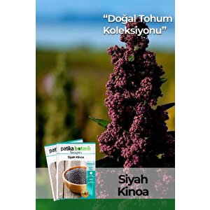 100 Adet Siyah Kinoa Tohumu