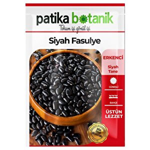 50 Adet Siyah Fasulye Tohumu