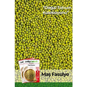 50 Adet Maş Fasulye Tohumu