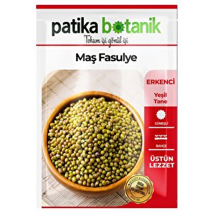 50 Adet Maş Fasulye Tohumu