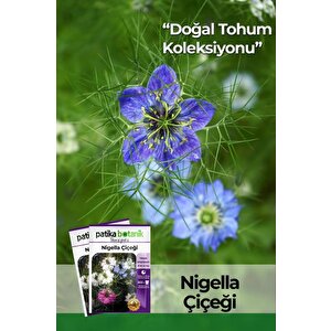 100 Adet Nigella Çiçeği Tohumu