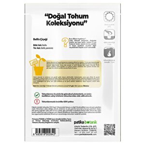 20 Adet Bellis - Şeker Tabağı Tohumu