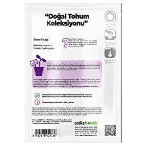 30 Adet Sitare Çiçeği Tohumu