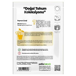 20 Adet Yeşil Yapraklı Begonya Tohumu