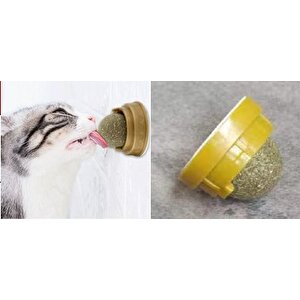 Kedi Nanesi Topu Tdrtr