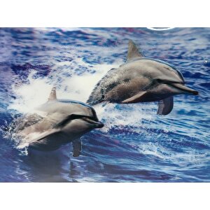 5d Elmas Boyama Sevimli Yunuslar İkili Yunus Resmi Tablosu 30x40 Cm Tdrtr