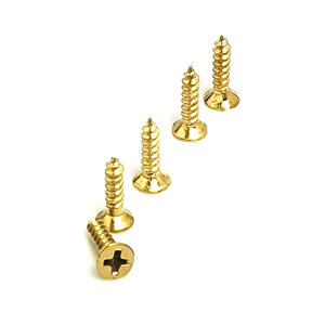 Klips, Menteşe, Ayak, Ysb Sac Vidası - 2,9x9,5mm Sarı, 100 Adet Tdrtr