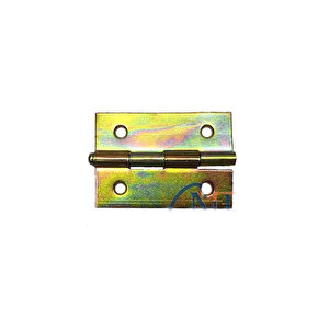 Yaprak Menteşe No:2 - 34x49mm, 1 Adet Tdrtr