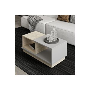 Concept Orta Sehpa Gri/traverten Gri-Bej