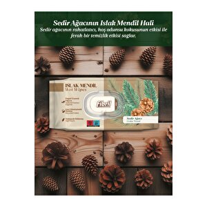 Sedir Ağacı Kokulu Serisi Set Islak Mendil 24x90 Lı Paket 2160 Yaprak