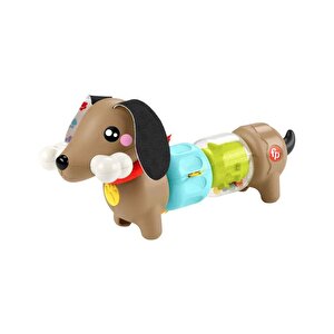 Fisher Price Köpekçikle Eğlenceli Aktiviteler Htw91