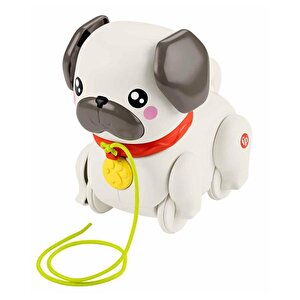 Fisher Price Sesli Minik Dostumla Yürüyüş Htw94