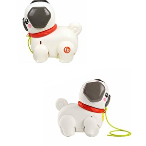 Fisher Price Sesli Minik Dostumla Yürüyüş Htw94