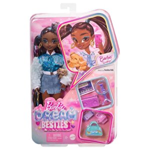 Barbie Dream Besties Barbie Brooklyn Bebek Ve Aksesuarları Hyc22