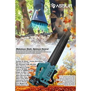 Profesyonel 21 V Çift Akülü Turbo Motor 2800 Rpm Yaprak Hava Üfleme Makinesi