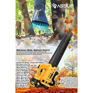 Profesyonel 21 V Çift Akülü Turbo Motor 2800 Rpm Yaprak Hava Üfleme Makinesi