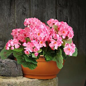 Yapay Çiçek Sardunya Demeti 40*25cm 1.kalite Pembe Balkon Çiçeği