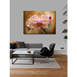 Kanvas Tablo Pembe Orkide Çiçeği 70x100 cm