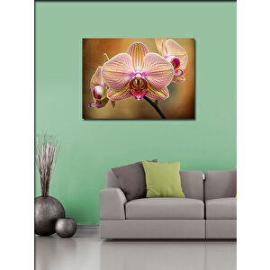 Kanvas Tablo Pembe Orkide Çiçeği 70x100 cm