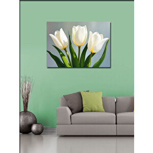 Kanvas Tablo Beyaz Lale Çiçeği 70x100 cm