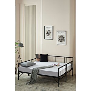 Veluna Yavrulu Daybed Tek-çift Kişilik Sedir Metal Karyola Siyah