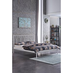 Thales Çift Kişilik Ferforje Metal Karyola - Beyaz 140x190 cm