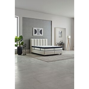Astrid Çift Kişilik Baza Başlık Seti Krem 200x200 cm