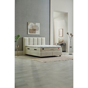 Violet Çift Kişilik Baza Başlık Seti Krem 200x200 cm