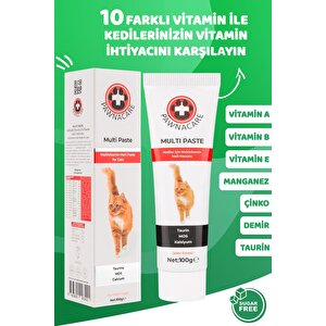 Multi Paste Kedi Multivitamini Malt Macunu Taurin Mos Kalsiyum Yepyeni Güçlü Formül 100g
