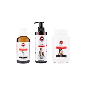 Bağışıklık Güçlendirme Seti Immune C & Fish Oil & B Plus 3'lü Set