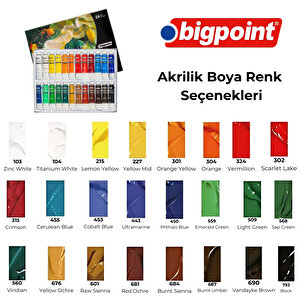 Bigpoint | Artist's Tüp Akrilik Boya Seti, 12 Ml Hazneli Akışkan Akrilik Boya, 24 Renkli Set