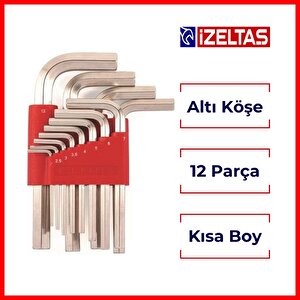 İzeltaş | Allen Anahtar Takımı, 12 Parça Endüstriyel Dayanıklı Çelik Set