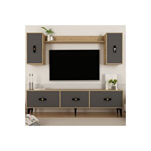 Hi̇ra 180 Cm Tv Üni̇tesi̇ Safi̇rmeşe Altin Safirmeşe-Altın