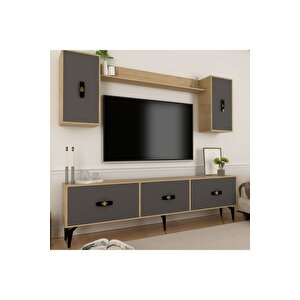 Hi̇ra 180 Cm Tv Üni̇tesi̇ Safi̇rmeşe Altin Safirmeşe-Altın