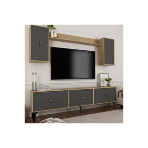 Zeus 180 Cm Tv Üni̇tesi̇ Takimi Safi̇rmeşe-antrasi̇t Safirmeşe-Antrasit