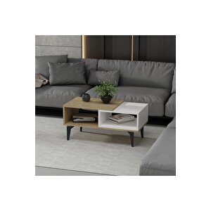 Fly 180 Cm Şömi̇neli̇(b) Tv Üni̇tesi̇, Konsol(kx180) Ve Orta Sehpa Salon Takimi Safi̇rmeşe-beyaz