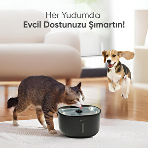 Akıllı Evcil Hayvan Sebili