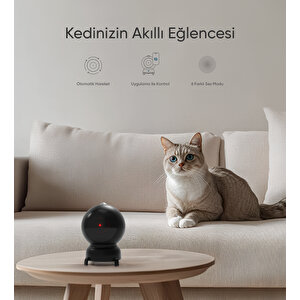 Akıllı Kedi Oyuncağı