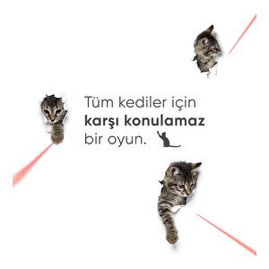 Akıllı Kedi Oyuncağı