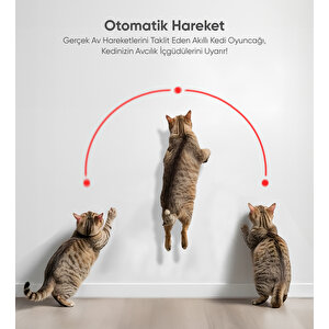 Akıllı Kedi Oyuncağı