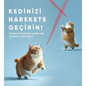 Akıllı Kedi Oyuncağı