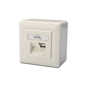 Digitus Sıva Üstü İkili Rj-45 Priz, Cat. 6a Class Ea, Shielded (zırhlı), 2 X Rj45 Tdrtr