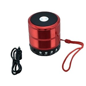 Bluetooth Usb Sd Ses Bombası Rt-896