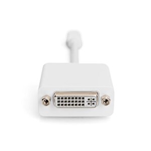 Mini Displayport (dp) <-> Dvi-i Adaptörü, Kablolu, Mini Dp Erkek <->- Dvi-i (24+5) Dişi, 0.15 Metre, Dp 1.1a Uyumlu, D