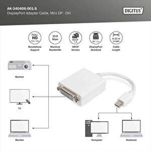 Mini Displayport (dp) &lt;-&gt; Dvi-i Adaptörü, Kablolu, Mini Dp Erkek &lt;-&gt;- Dvi-i (24+5) Dişi, 0.15 Metre, Dp 1.1a Uyumlu, D