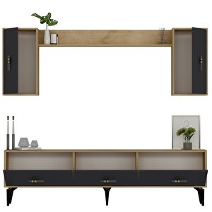 Zeuss 180 Cm Tv Üni̇tesi̇, Konsol(kx180) Ve Orta Sehpa Salon Takimi Safirmeşe-Antrasit Antrasit-Safirmeşe
