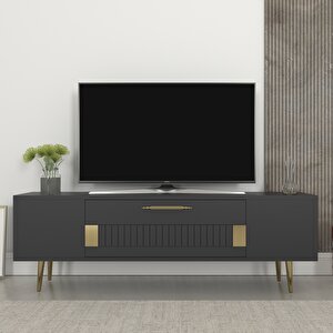 Fashi̇onn Tv Sehpasi ( Alt Modül) Antrasit-Altın Altın-Antrasit