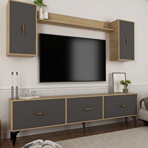 Zeuss 180 Cm Tv Üni̇tesi̇ Takimi Safirmeşe-Antrasit Antrasit-Safirmeşe